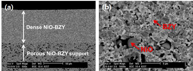 테이프 케스팅 공법으로 제작된 NiO-BZY 음극 지지체의 단면 SEM 이미지