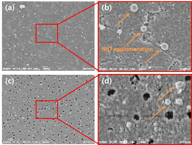 테이프 케스팅 공법으로 제작된 NiO-BZY 음극 기능층((a), (b))과 지지체((c), (d)) 표면 SEM 이미지 ((b)와 (d)는 각각 (a)와 (c)를 확대한 표면 이미지)