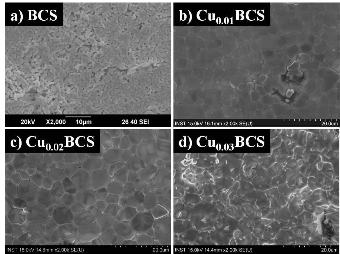 미량의 Cu가 도핑된 BCS 증착 층의 SEM 표면사진