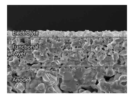 anode와 전해질 사이에 AFL이 증착된 단면 SEM 사진