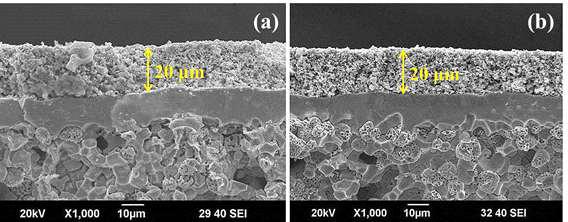 (a) 일반 composite cathode, (b) 조성경사구조cathode 셀의 전해질과 양극의 두께를 동일하게 제작함을 보여주는 SEM 단면 사진