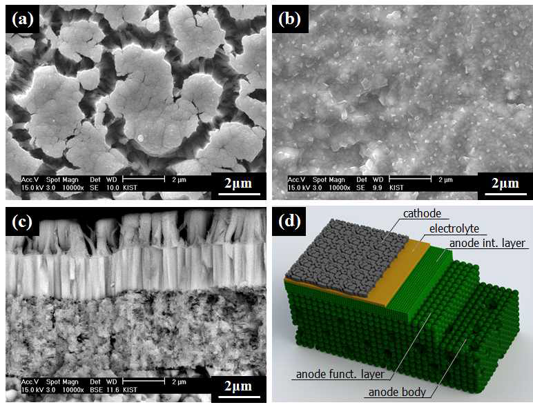 음극 지지체 기반 박막 프로톤 세라믹 연료전지의 SEM 이미지들((a) 다공성 LSC 양극 표면, (b) 치밀한 BZY 박막 전해질, (c) 연료전지 단면)과 (d) 미세구조 모식도