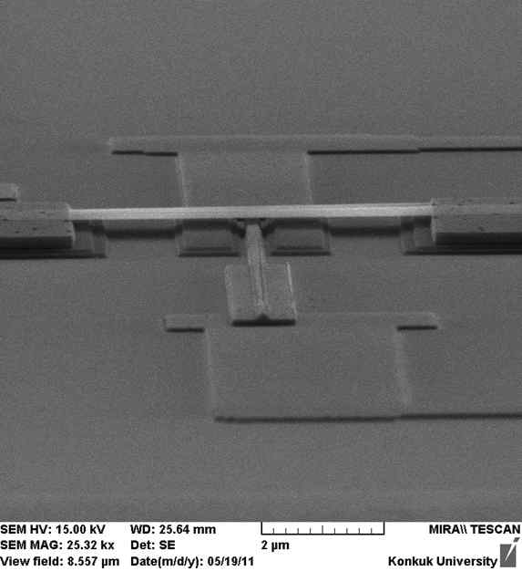 그래핀 나노전기역학 스위치의 전자현미경 사진