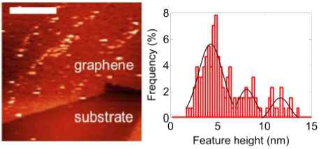 그래핀 표면에 결합된 μ- 마취제 단백질의 원자 힘 현미경 이미지 및 높이 profile.