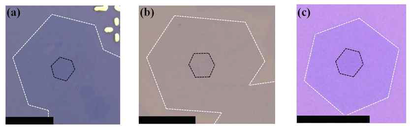 CVD 방법으로 길러진 육각형 tBLG의 광학 이미지
