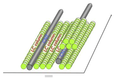 Illustrates of aligned carbon nanotubes (CNTs) and discotic LC phase