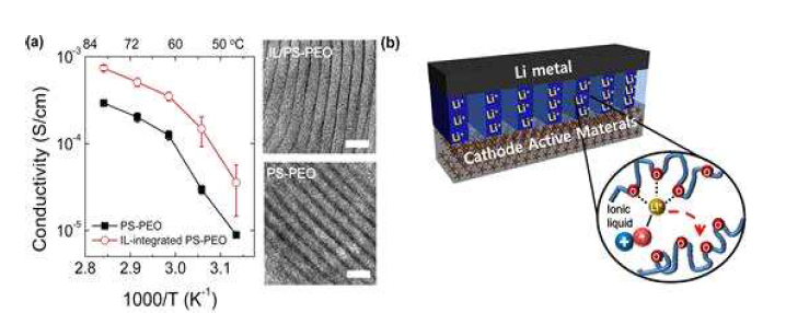 포항공대 팀의 Block Copolymers 기반의 고분자 전해질 연구 사례