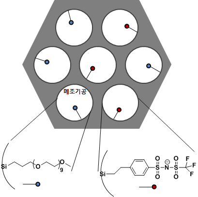 두 가지 기능기가 메조기공 안에 도입된 다공성 실리카(MS-PEO-MTFSI)