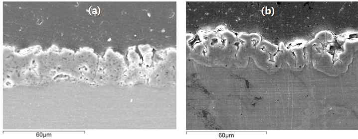 SEM images of PEO films formed on (a) AZ31 and (b) AZ91 Mg alloys.