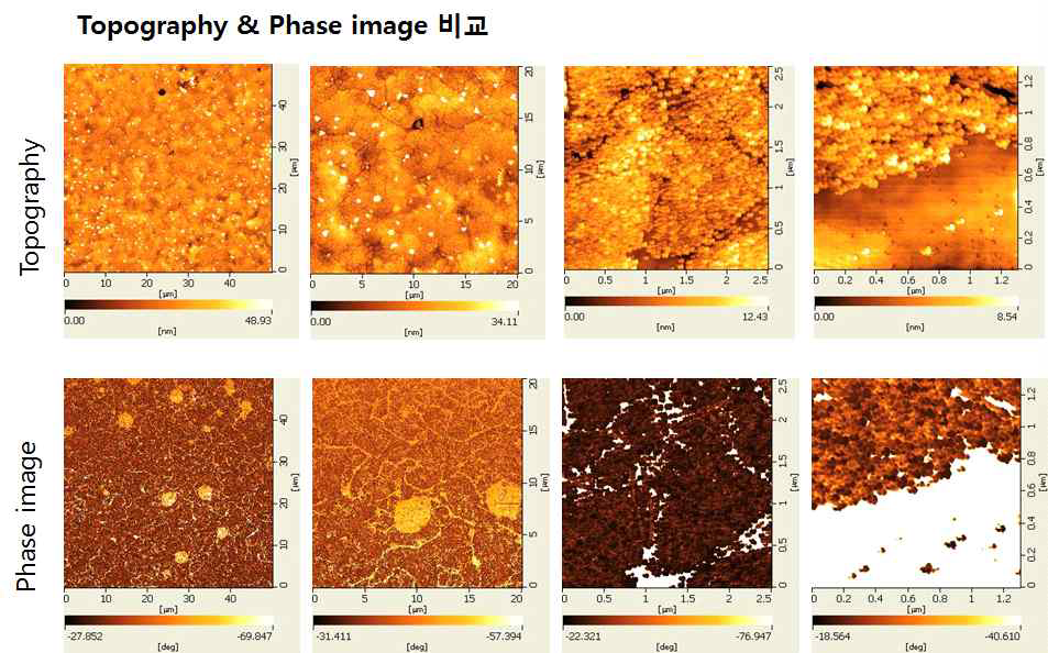 h-BN 박막 표면의 SPM topography 및 phase image 비교