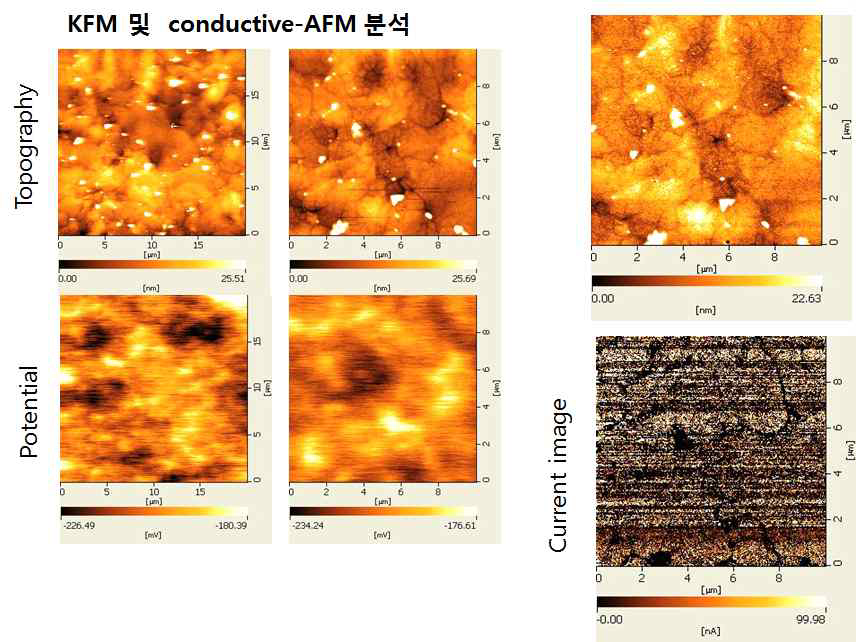h-BN 박막 표면의 KFM 및 전도성 AFM 분석