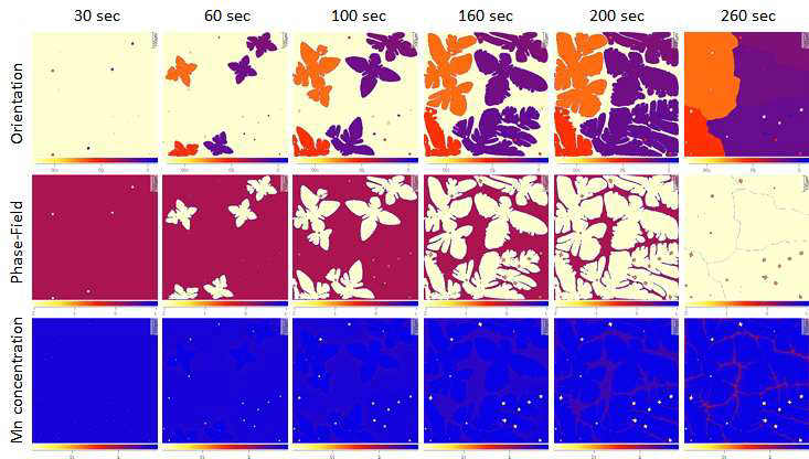 응고시간에 따른 결정립 방향, phase-field, Mn 농도 분포