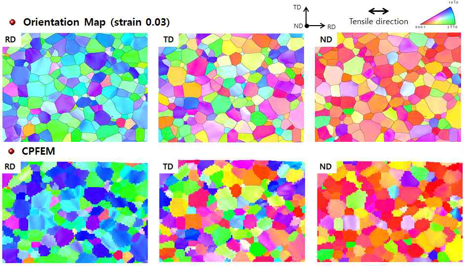 RD 방향 인장시험시 변형율 3% 때의 EBSD 결과 및 CP-FEM 예측 결과