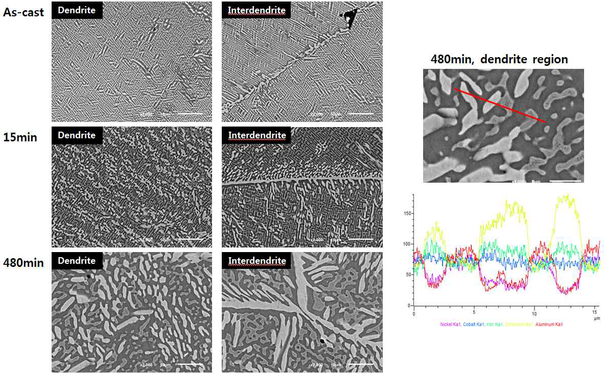 AlCoCrFeNi 합금의 1100°C 열처리 시간에 따른 미세조직 변화