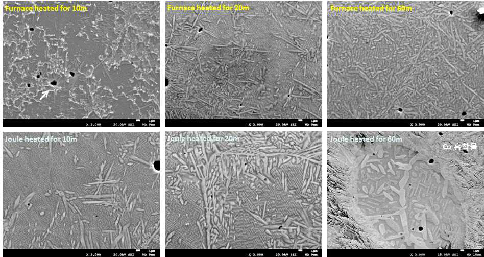 일반 및 통전 열처리 후 AlCoCrFeNi 합금의 열처리 시간에 따른 전자현미경 사진