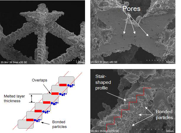 SEM micrographs of 3D printed lattice structures