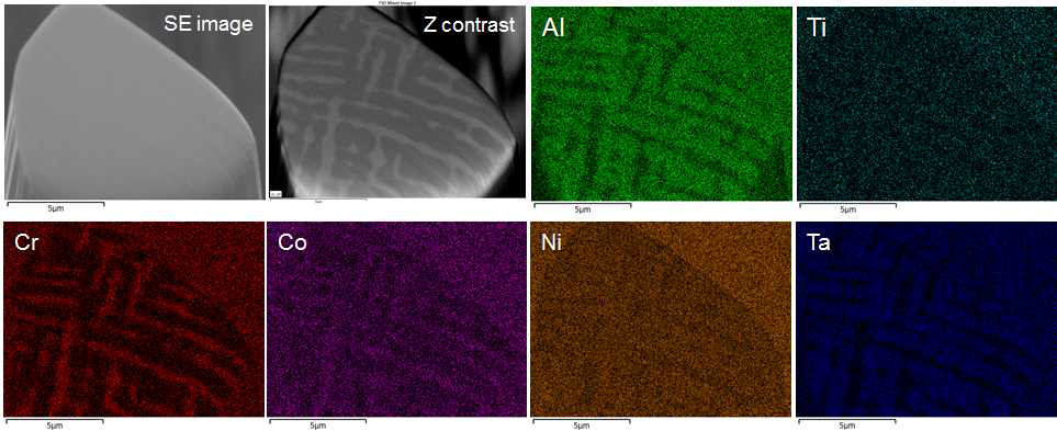 1,000시간 열처리재의 SE, Z contrast 이미지 및 각 원소별 EDS map