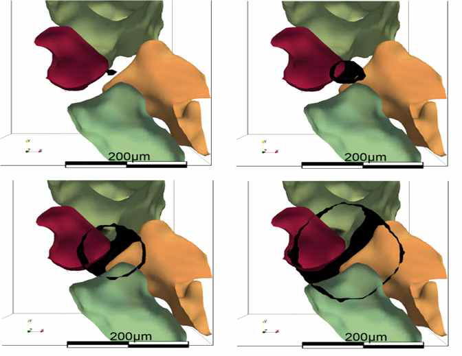 Damage evolution (black surface) during the last calculation steps in zoomed view.