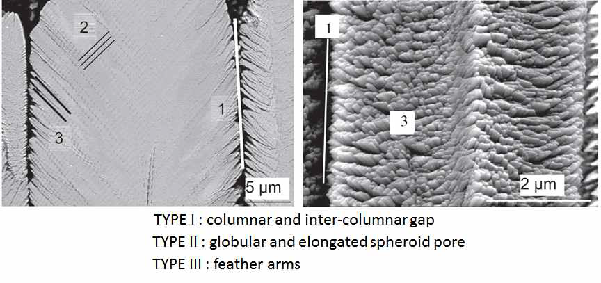 전형적인 columnar structure YSZ ceramic coating 단면 미세조직 및 파면에서 columnar structure