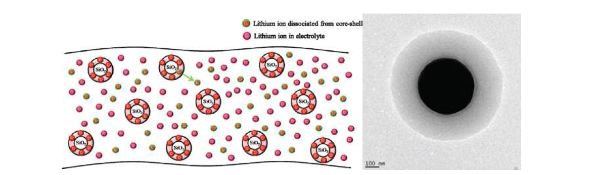 Core-shell 구조를 가진 기능성 무기 첨가제 기반의 전해질 연구