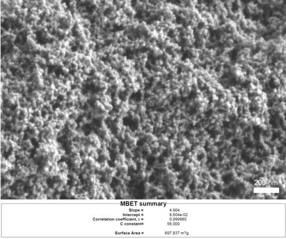 에어로젤의 SEM 사진 및 비표면적