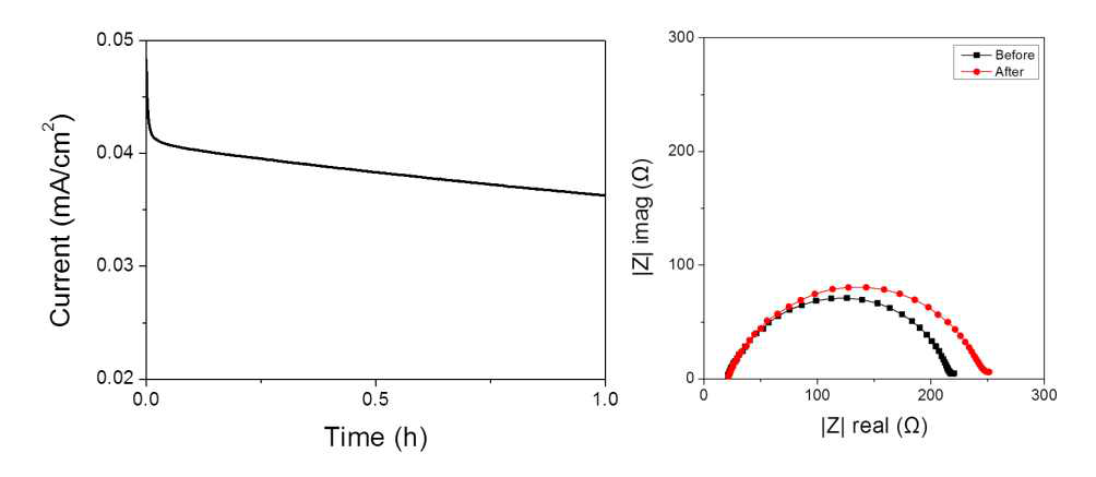 Time-dependence response of DC polarization (왼쪽), Nyquist polts (오른쪽)