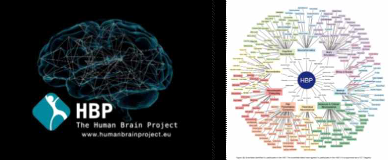 Euro Human Brain Project (https://www.humanbrainproject.eu/)