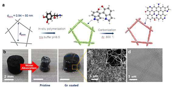 나노탄소다공체에 대한 도파민 코팅 및 이를 통한 다공체의 표면 특성 변화 및 그래핀 코팅레이어 형상