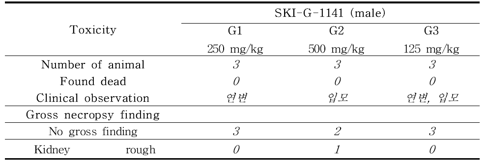 Rat single MTD 시험의 임상증상 및 부검 결과