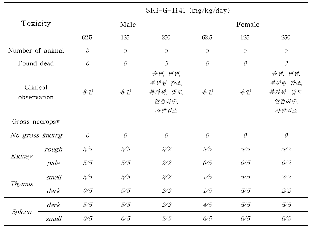 Rat 10-day DRF 시험의 임상증상 및 부검 결과
