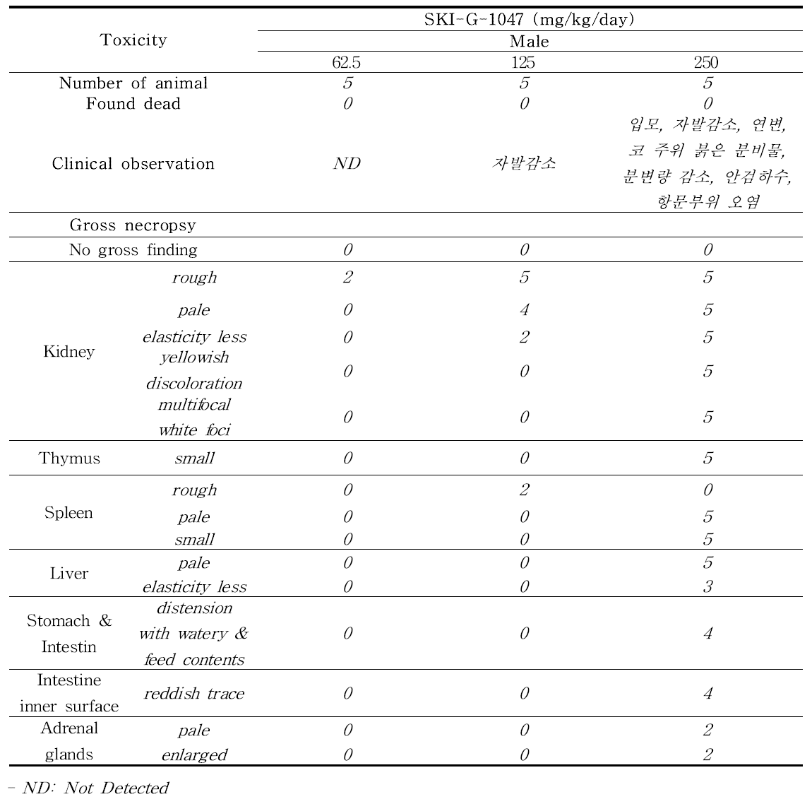 Rat 7-day DRF 시험의 임상증상 및 부검 결과