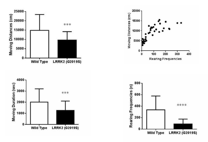 대조군(WT)과 LRRK2 (G2019S) transgenic mouse의 자율운동성 평가 비교 (좌상) 운동거리 (우상) rearing 빈도 (좌하) 움직인 거리 (우하) LRRK2 (G2019S) TG mouse의 운동거리와 rearing 빈도의 상관도