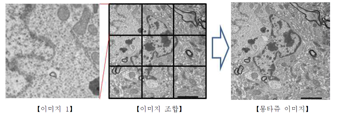 몽타쥬 기법을 이용한 광폭 고해상 이미징