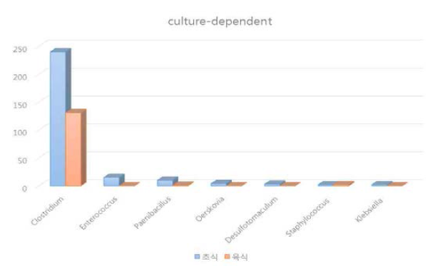 culture-dependent법에 의한 장내 미생물 분리 결과