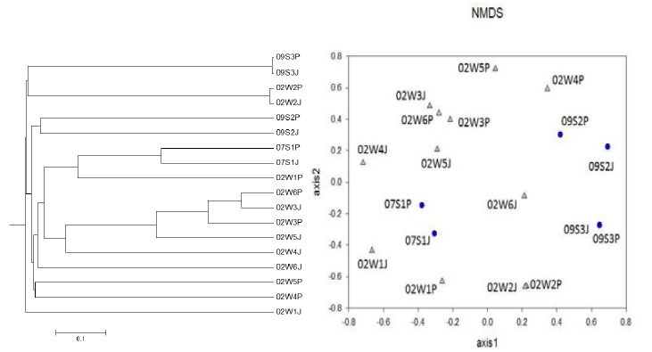 식이에 따른 박새의 장내미생물 분석자료의 PCA그래프와 phylogenetic tree