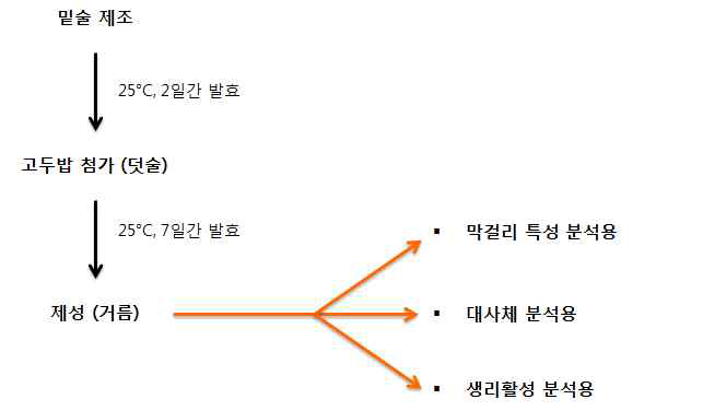 Process for the manufacture of Makgeolli fermented by Nuruk
