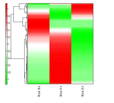 Heatmap for the metabolite analysis of Makgeolli fermented by different starter