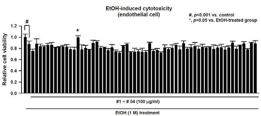 Protective effect of Makgeolli extract fermented by Nuruk on ethanol-induced cell death in EA.hy926 endothelial cells