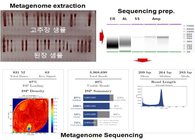 Preparation of purified DNA for metagenome sequencing