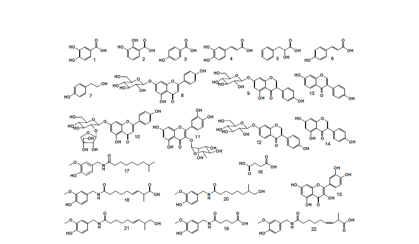 Metabolites of Gochujang analyzed by LC-MS
