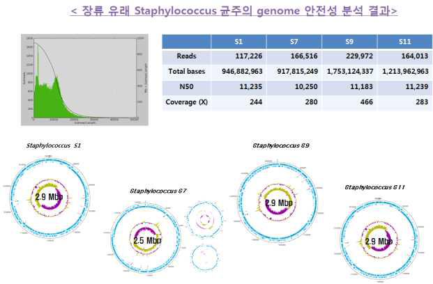 Assembly of metagenomes of 4 kinds of staphylococcus sp