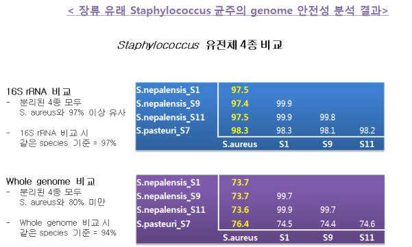 Genetic similarity between staphylococcus sp