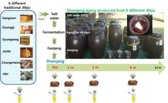 Metabolomic work flow on traditional Doenjang fermentation