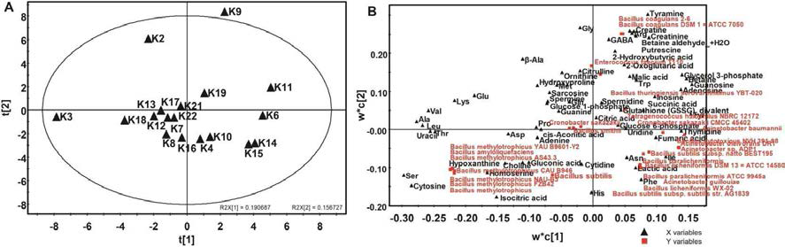 PLS analysis for correlation between metagenome and metabolites of Kochujang