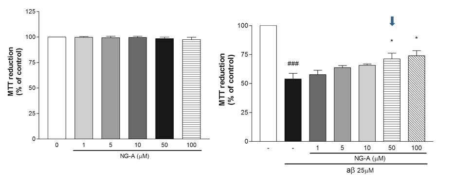 Beta amyloid (Aß) 독성에 의한 SH-SY5Y neuronal cell death 억제 효능.