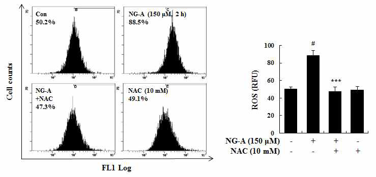 Effect of NG-A on intracellular ROS in A549 cells. Exponentially growing cells were treated with 150 μM NG-A and/or 10 mM NAC for 2 h.