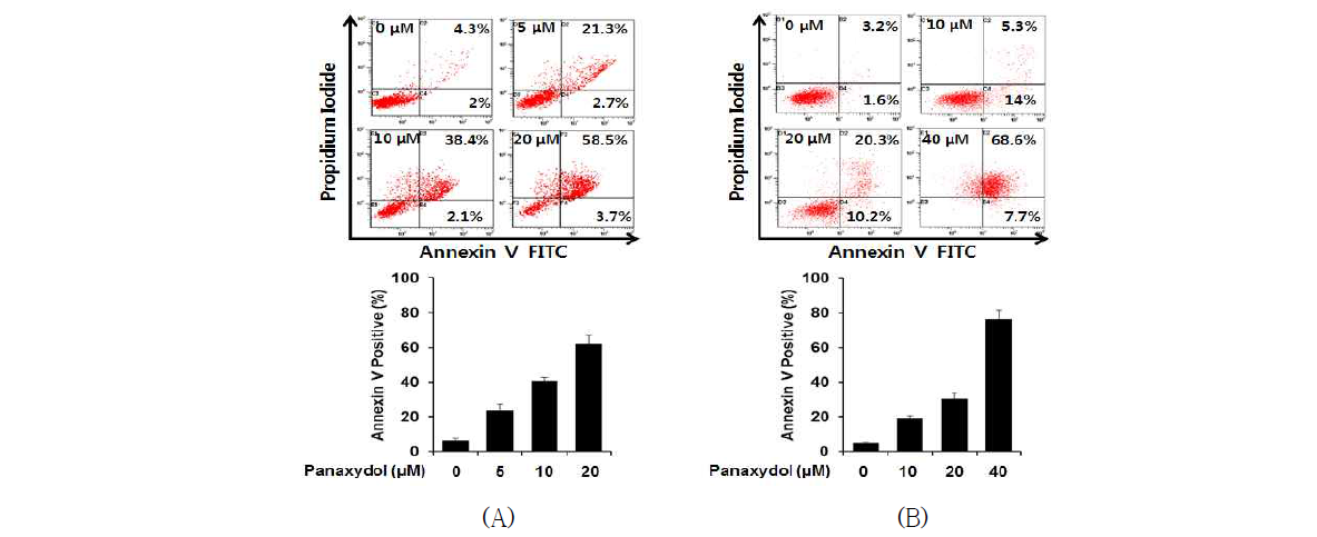 Effect of panaxydol on induction of apoptosis in AsPC-1 and MIA PaCa-2 cells.