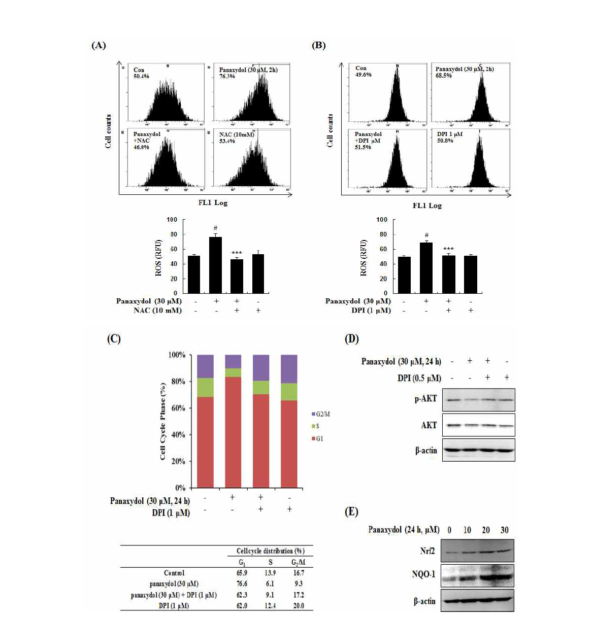 Effect of panaxydol on intracellular ROS in A549 cells.