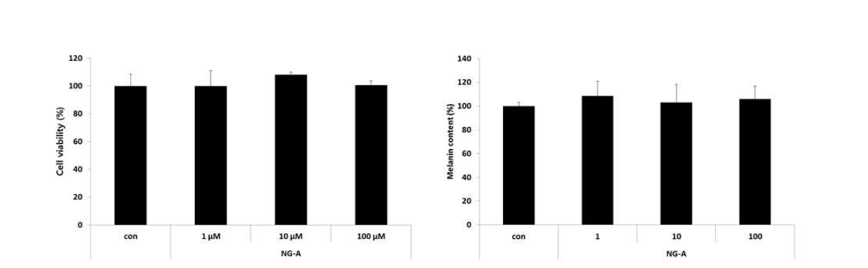 Melan-a 세포에서의 세포생존율 및 멜라닌 생성량에 미치는 영향.