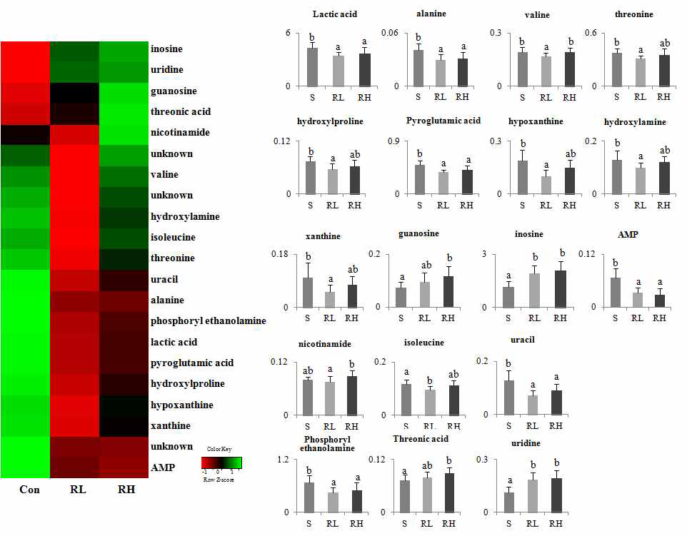 The heat maps of identified kidney metabolites from rats fed normal and ginseng and their normalized chromatogram intensities.